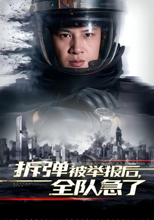 【拆弹被举报后，全队急了】50集短剧免费在线观看全集