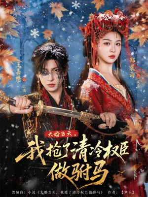 大婚当天，我抢了清冷权臣做驸马（73集）好看短剧分享