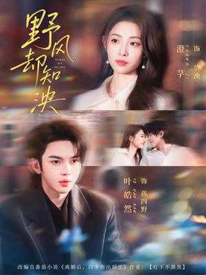 【野风却知泱】80集短剧免费在线完整观看