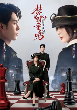 【焚羽重鸣】60集热门短剧免费在线看