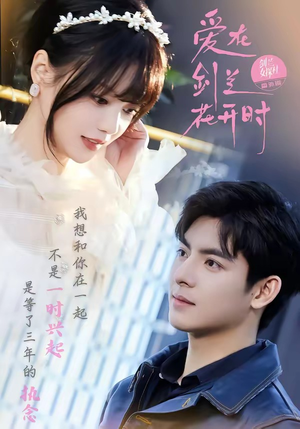 【爱在剑兰花开时】56集短剧全集免费畅看