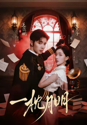 【一枕月明】65集短剧免费在线看全集