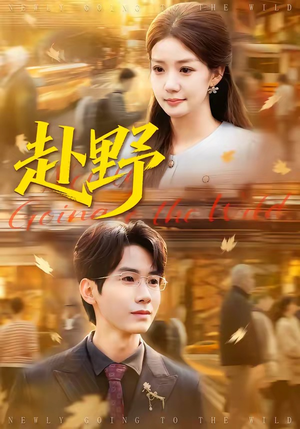 赴野（40集）全剧看到大结局