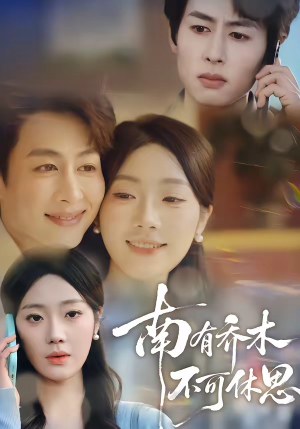【南有乔木，不可休思】68集短剧免费畅享观看