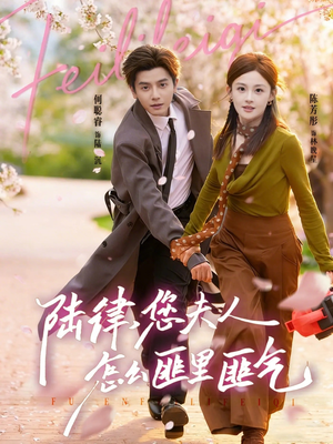 【陆律，您夫人怎么匪里匪气】60集短剧在线免费览看