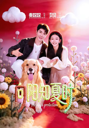 【向阳知夏时】80集热门短剧在线免费观看