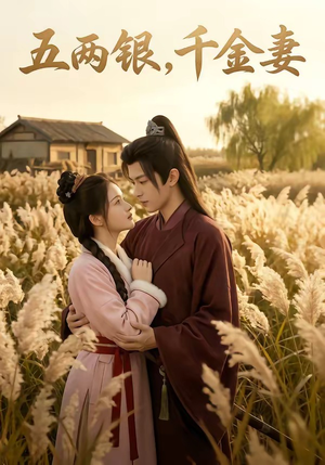 五两银，千金妻（60集）番茄短剧看全集
