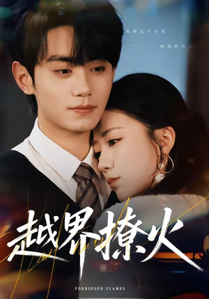越界撩火（64集）最后的大结局
