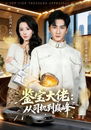 鉴宝大佬： 从司机到巅峰（80集）在线看完整版
