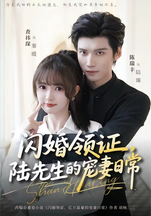闪婚领证，陆先生的宠妻日常（86集）高清无码免费看