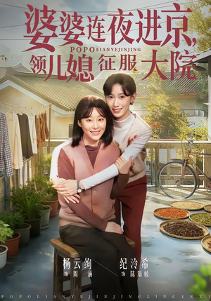 婆婆连夜进京，领儿媳征服大院（78集）全集在线看