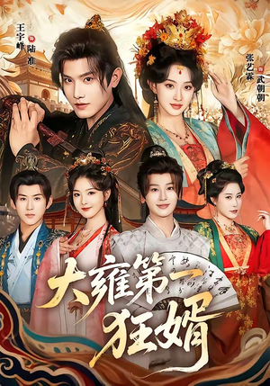 大雍第一狂婿（90集）百度在线观看
