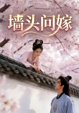 墙头问嫁（29集）短剧片段推荐