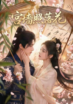 【宫墙照落花】60集短剧免费全集畅快看