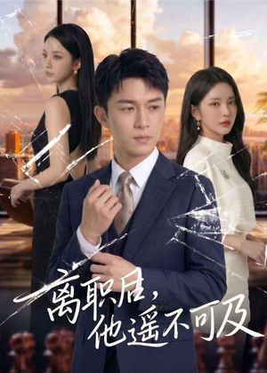 离职后，他遥不可及（55集）看到了大结局