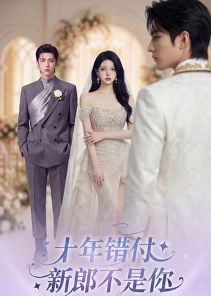 十年错付，新郎不是你（51集）UC网盘在线看