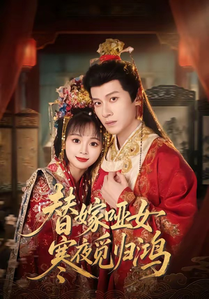 【替嫁哑女寒夜觅归鸿】65集短剧免费畅享观看