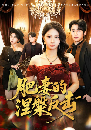 肥妻的涅槃反击（66集）观看软件