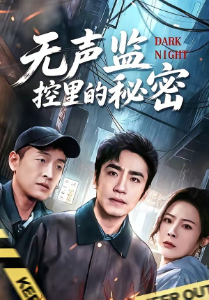 无声监控里的秘密（84集）一起追短剧吧