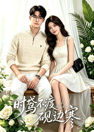 【时鸢不渡砚边寒】41集在线短剧全集畅快看