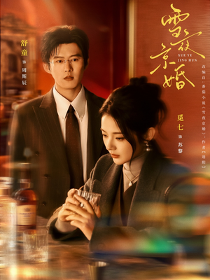 【雪夜京婚】84集短剧免费全集赏观