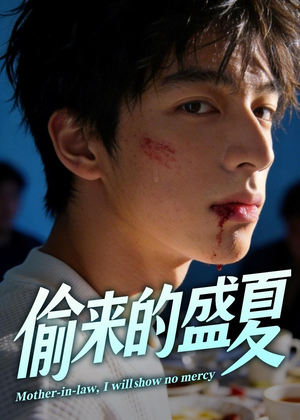 【偷来的盛夏】40集短剧免费在线高清播看