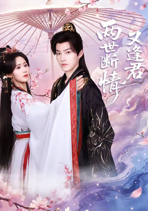 两世断情又逢君（71集）全集在线看