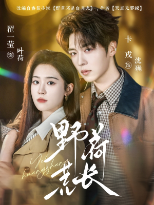 野荷荒长（86集）夸克网盘观看