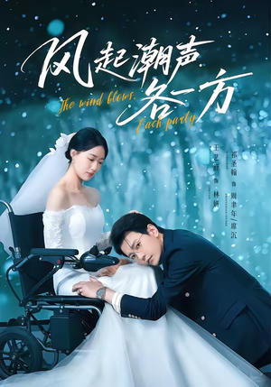 【风起潮声各一方】84集免费短剧完整版观看