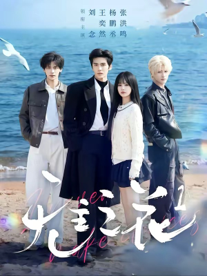 【无主之花1】72集优质短剧在线免费品鉴