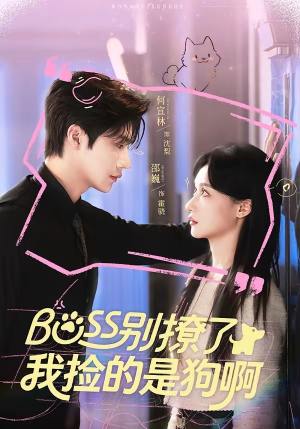 【Boss别撩了，我捡的是狗呀】65集短剧全集免费观享