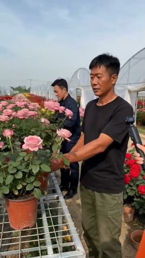 【拔了唢呐后全村哭瞎了】55集短剧免费在线完整版追剧