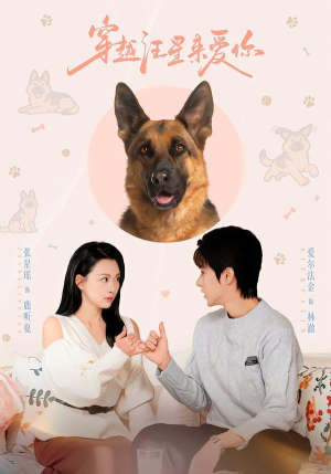【穿越汪星来爱你】62集短剧在线免费赏观