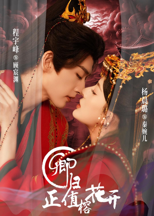 【卿归正值榕花开】70集短剧全集免费在线追看