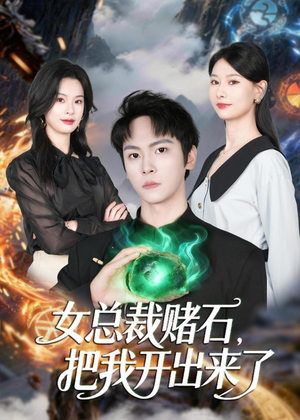 【女总裁赌石，把我开出来了】76集热门短剧免费瞧看