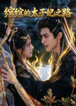 【绾绾的太子妃之路】37集短剧在线免费观映