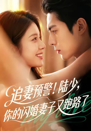 【追妻预警！陆少，你的闪婚妻子又跑路了】102集短剧免费高清在线看