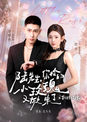 【陆先生，你捡的小玫瑰又掀桌了之荆棘玫瑰】68集短剧免费全集在线赏阅