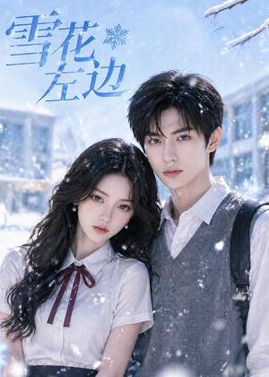 【雪花左边】30集免费短剧随时观看