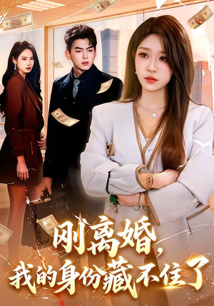 刚离婚，我的身份藏不住了（100集）360网盘观看