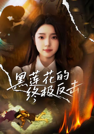 黑莲花的终极反击（60集）解说