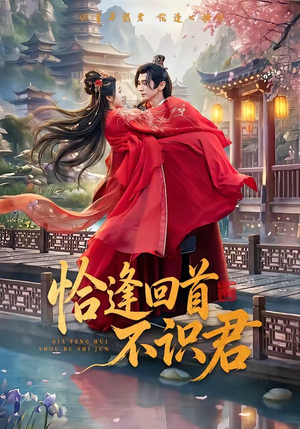 恰逢回首不识君(72集) 恰逢回首不识君(72集)热门短剧来袭