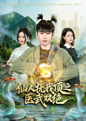 仙人抚我顶之医武双绝(66集) 仙人抚我顶之医武双绝(66集)免费短剧大全