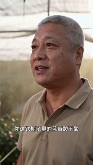儿媳要房我要果园，冰雹来了见分晓（33集）分享好看的短剧