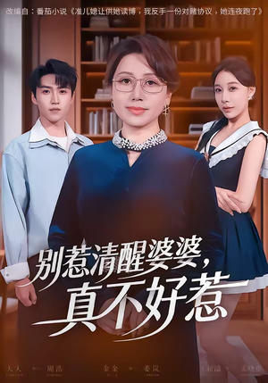 别惹清醒婆婆，真不好惹（80集）古装短剧推荐