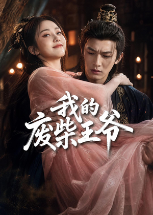 【我的废柴王爷】31集短剧免费在线看全集
