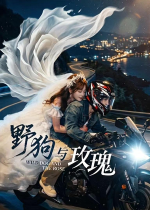 【野狗与玫瑰】30集短剧全集畅享在线看