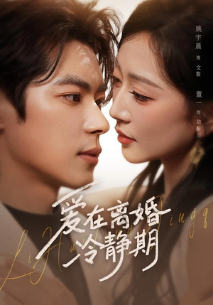 【爱在离婚冷静期】73集短剧免费全集畅快看