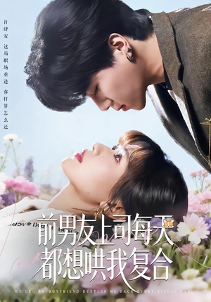 【前男友上司每天都想哄我复合】77集短剧全集在线免费速看