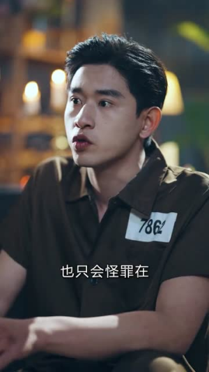 宿命潜行，以身破局（80集）精彩短剧下载